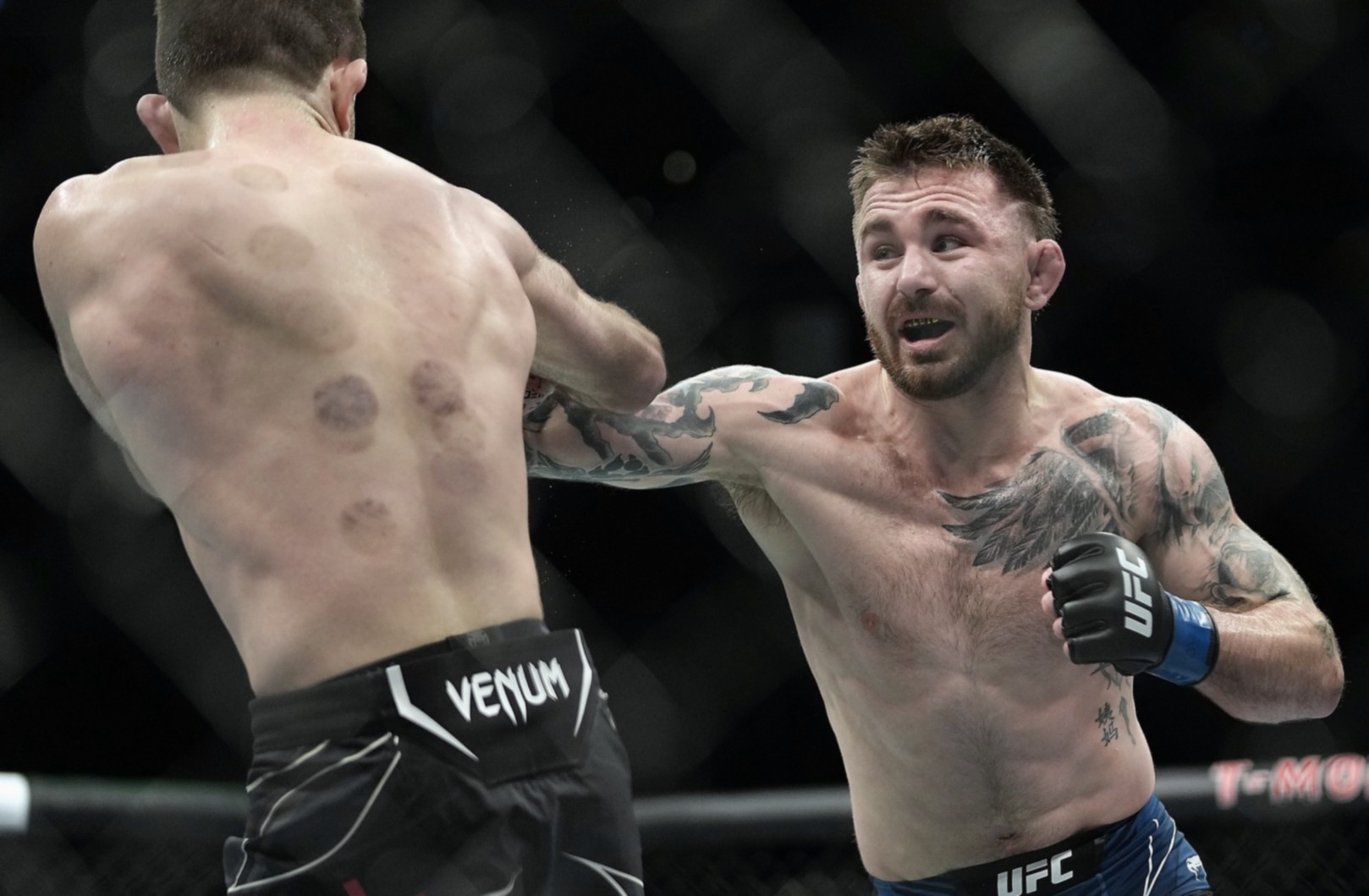История UFC и эволюция смешанных единоборств: от андеграунда до мирового признания - 2